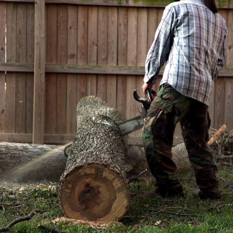 Just another WordPress site